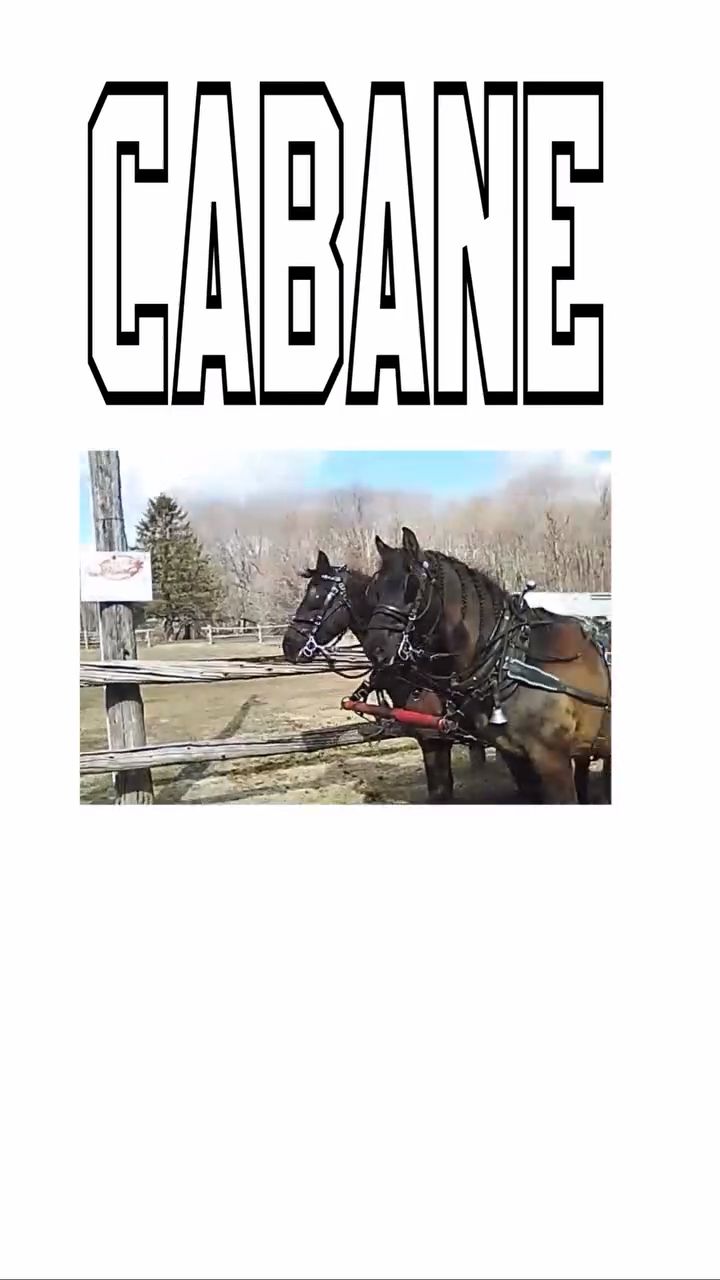 Media content